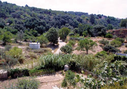Sant Feliu col·labora amb Haití