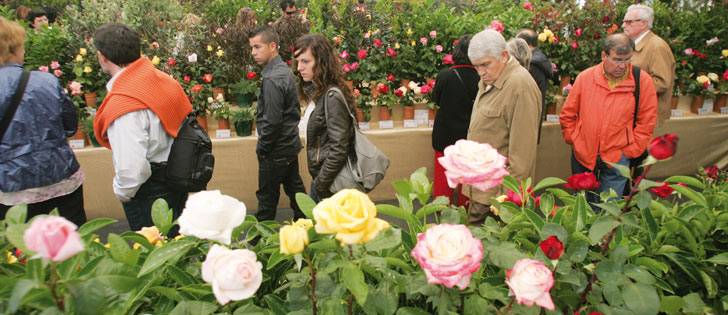 Festes de la Primavera