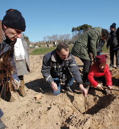 Festa del Roser