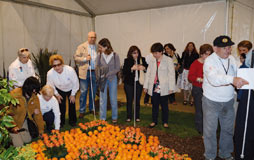 Festes de Primavera