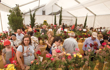 Festes de Primavera