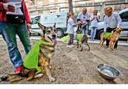 Festa de Tardor
