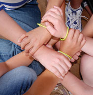 El Complex solidari